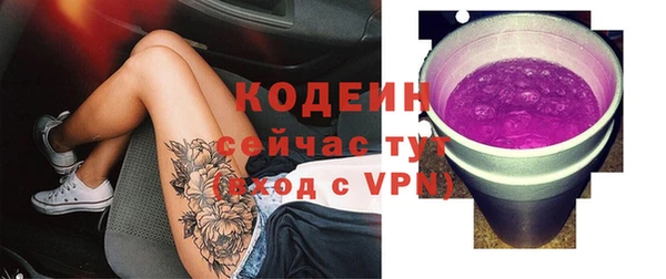 стаф Бородино
