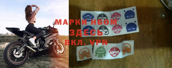 стаф Бородино