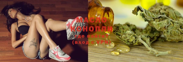 стаф Бородино