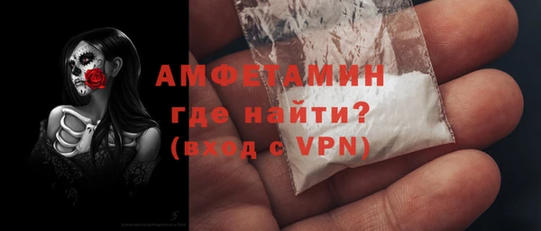 стаф Бородино