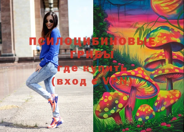 прущая мука Бронницы