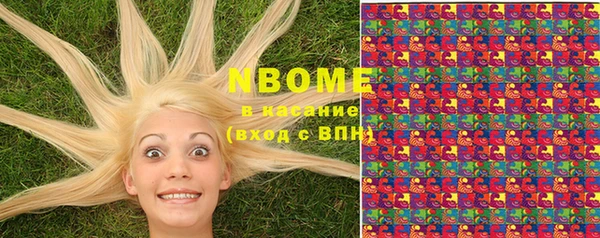 стаф Бородино