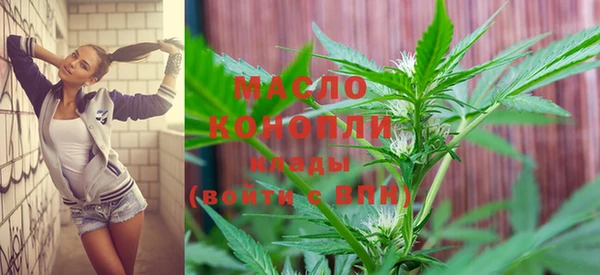 стаф Бородино