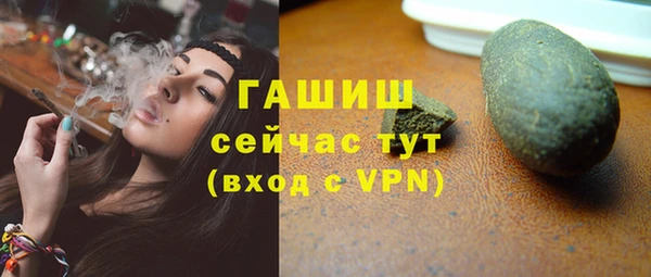 стаф Бородино
