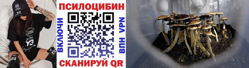 хочу наркоту  MEGA как зайти  Псилоцибиновые грибы Psilocybine cubensis  Дегтярск 